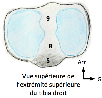 Capture d’écran 2015-01-26 à 21.26.35.png