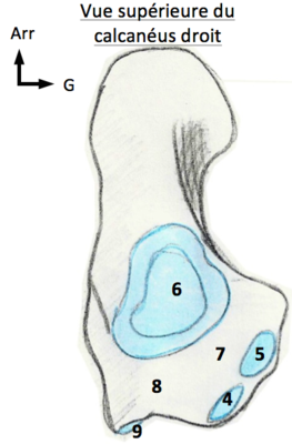 Capture d’écran 2015-01-26 à 22.20.19.png