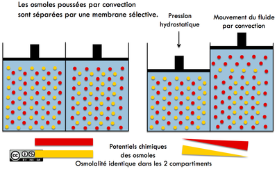Capture d’écran 2015-01-29 à 20.11.35.png