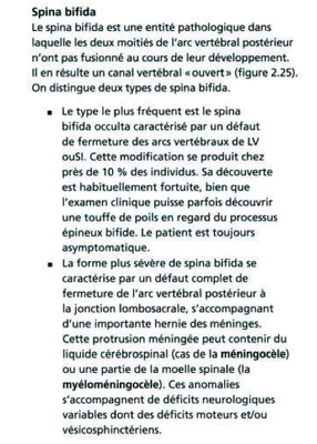 spina bifida.png