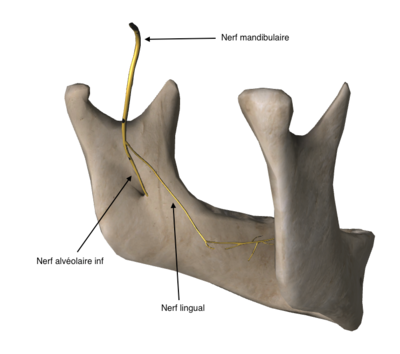 Capture d’écran 2015-02-06 à 14.02.30.png