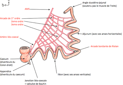 Capture d’écran 2015-02-07 à 20.11.46.png