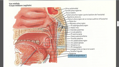 Capture d'écran 2015-02-08 18.36.04.png