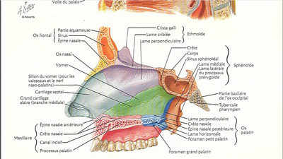 Capture d'écran 2015-02-08 18.45.58.png