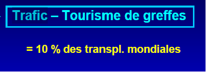 Capture d'écran 4.png