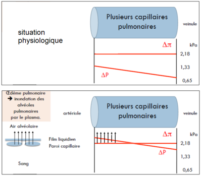 OAP ronéo 2 favre.png