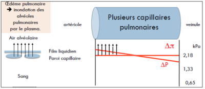 OAP ronéo 2 favre.png