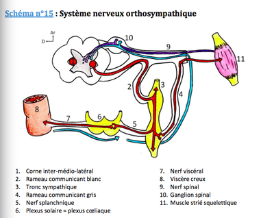 Capture d’écran 2015-02-13 à 19.44.30.png