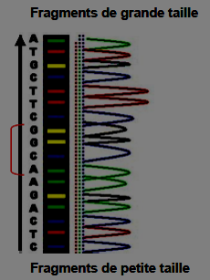 Image2.png