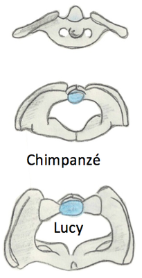 Capture d’écran 2015-02-15 à 19.24.34.png