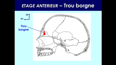 Capture d'écran 2015-02-22 21.18.07.png