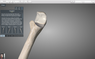Capture d’écran 2015-02-26 à 09.29.18.png