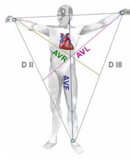 dérivations bailey.PNG