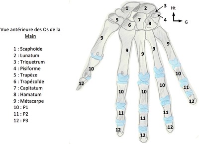 Capture d’écran 2015-03-10 à 11.08.41.png