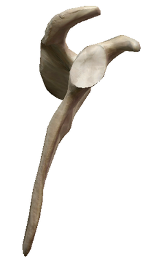 Capture d’écran 2015-03-13 à 09.54.04.png