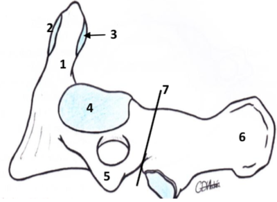 Capture d’écran 2015-03-13 à 10.11.40.png