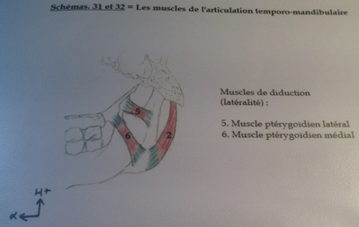 Capture d’écran 2015-03-15 à 14.21.20.png