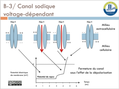 Capture d’écran 2015-03-15 à 15.36.10.png