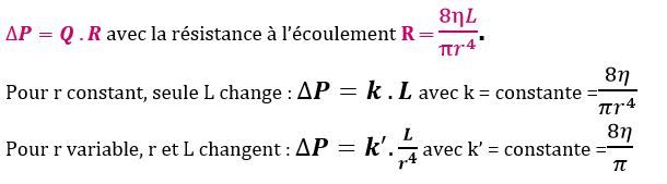 poiseuille et rayon.png