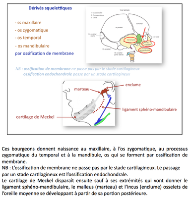 Capture d’écran 2015-03-20 à 14.33.32.png