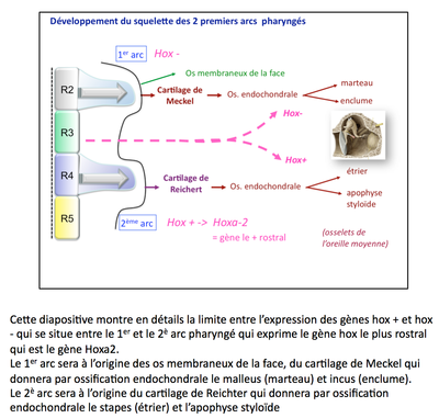 Capture d’écran 2015-03-20 à 14.33.50.png