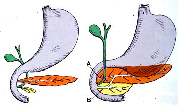 Capture d’écran 2015-03-26 à 09.15.21.png