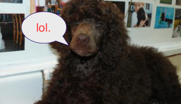 Capture d’écran 2015-03-26 à 19.57.42.png