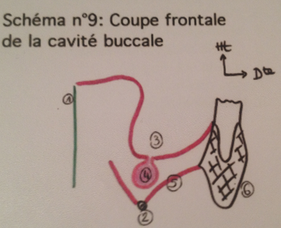 Capture d’écran 2015-03-26 à 20.28.28.png