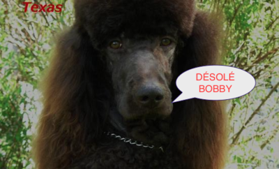 Capture d’écran 2015-03-29 à 19.12.28.png