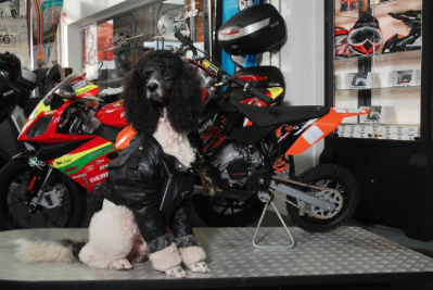 Capture d’écran 2015-03-30 à 12.38.32.png