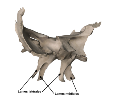 Capture d’écran 2015-03-30 à 18.13.33.png