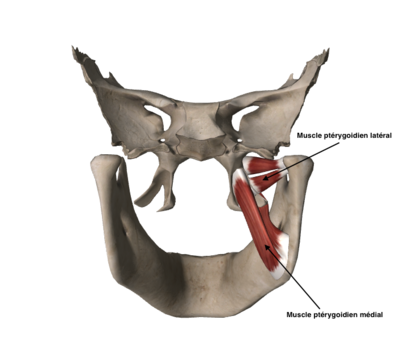 Capture d’écran 2015-03-30 à 17.59.57.png