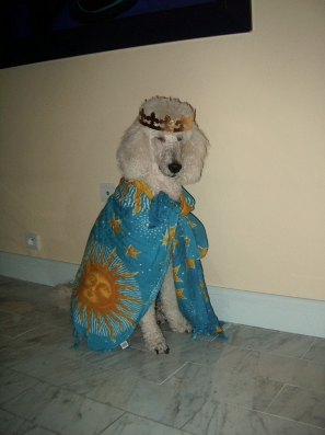 Capture d’écran 2015-03-30 à 21.48.19.png