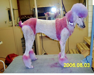 Capture d’écran 2015-03-31 à 21.32.18.png