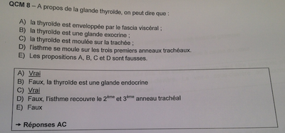 Capture d’écran 2015-04-01 à 14.05.17.png