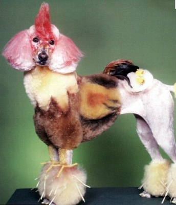 Capture d’écran 2015-04-01 à 16.20.01.png