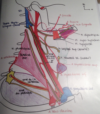 Capture d’écran 2015-04-01 à 19.05.36.png