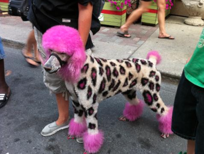 Capture d’écran 2015-04-02 à 21.26.16.png