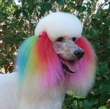 Capture d’écran 2015-04-02 à 21.26.54.png