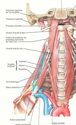 Capture d’écran 2015-04-02 à 23.31.14.png