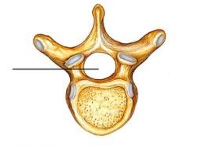 Capture d’écran 2015-04-03 à 17.59.07.png