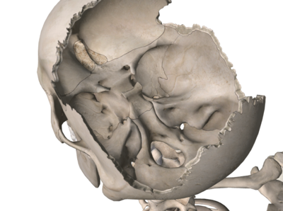 Capture d’écran 2015-04-05 à 18.23.52.png