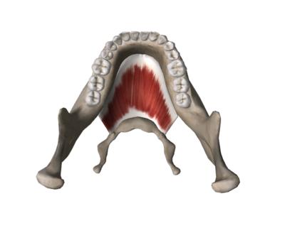 Capture d’écran 2015-04-07 à 15.33.21.png
