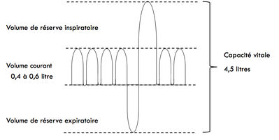Capture d’écran 2015-04-07 à 23.36.00.png