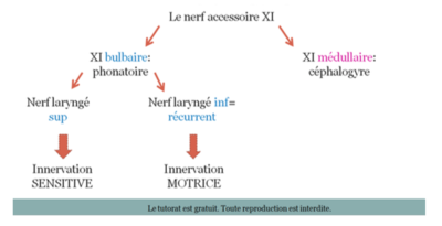Capture d’écran 2015-04-10 à 10.47.56.png
