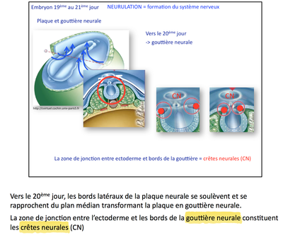 Capture d’écran 2015-04-14 à 23.00.46.png