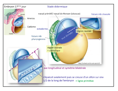 Capture d’écran 2015-04-15 à 21.29.42.png
