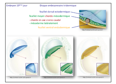 Capture d’écran 2015-04-15 à 21.29.54.png