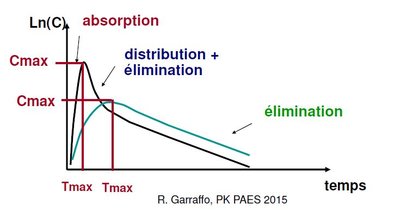 modèle 2 compartiments abs + dist + elm.JPG
