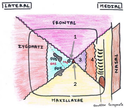 Capture d’écran 2015-04-19 à 13.49.26.png